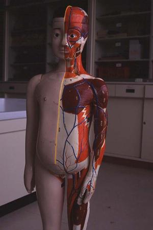 カウンセリングを重視する梅田の病院