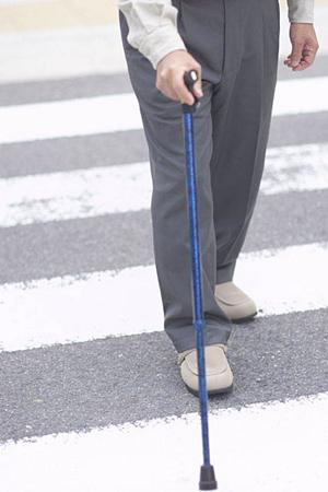 2026年最新｜和歌山市で評判の歯医者トップ10徹底比較ガイド