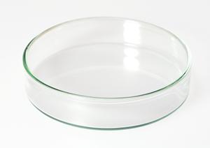 千葉で硬膜外麻酔で痛みのない出産