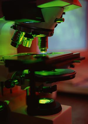 青葉台の歯医者でホワイトニング